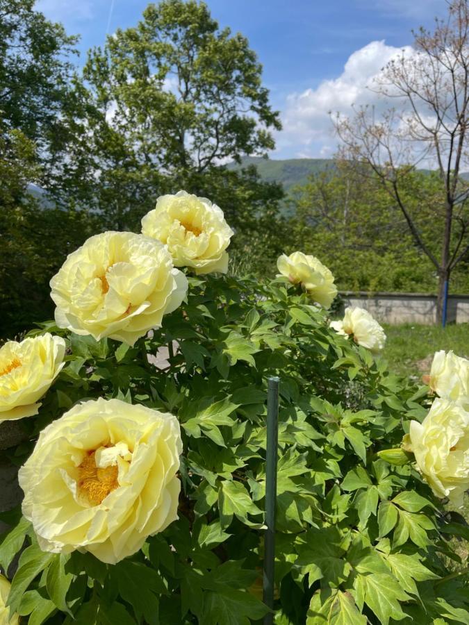 Hilltop Lodge Órma エクステリア 写真